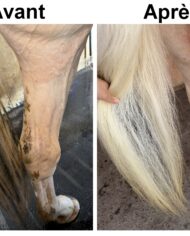 EKIN Shampoing Avant Après 2