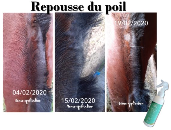 retouche repousse poil final 2020